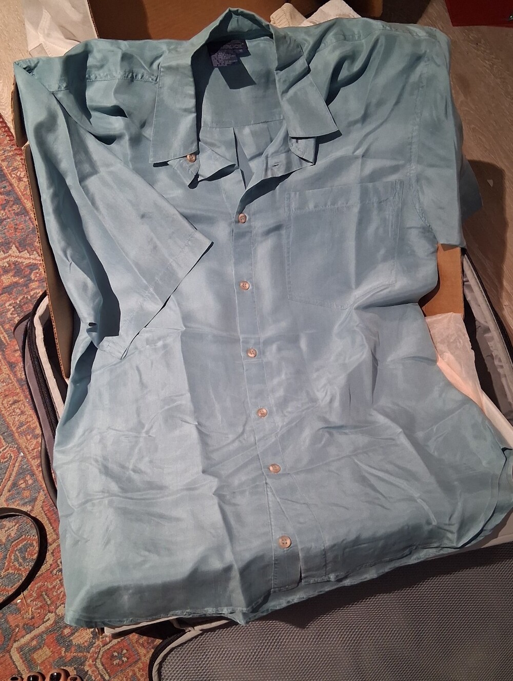 Light Blue Short-Sleeve Casual Button-Down Shirt